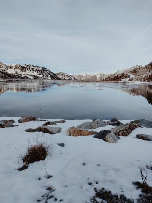 Rez De Chalet, Sauna Exterieur, Wifi, 4-6 Pers, 50M2 Isola 2000 Buitenkant foto
